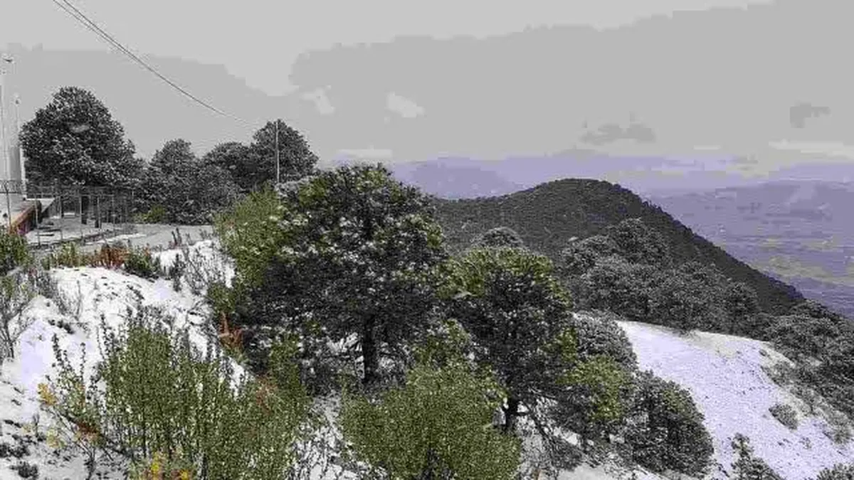 Tala clandestina destruye la falda del Nevado de Toluca