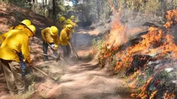 Alcanza Edomex 20 mil hectáreas afectadas por incendios