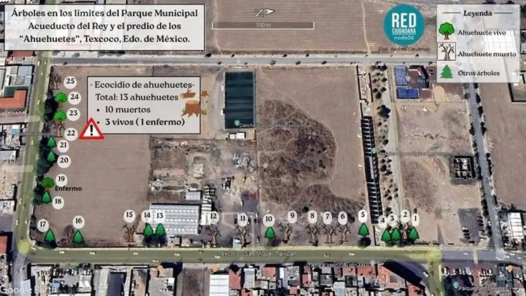 PJ concede suspensión definitiva a obras en sitio arqueológico de Ahuehuetes Texcoco