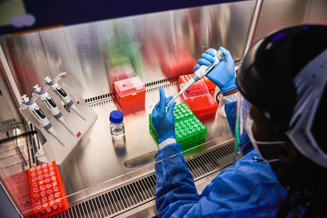 Virus de Marburgo: ¿Qué es y cuáles son sus síntomas?