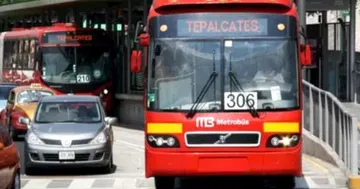 Metrobús ofrece vacante de 16 MIL mensuales, aquí los REQUISITOS