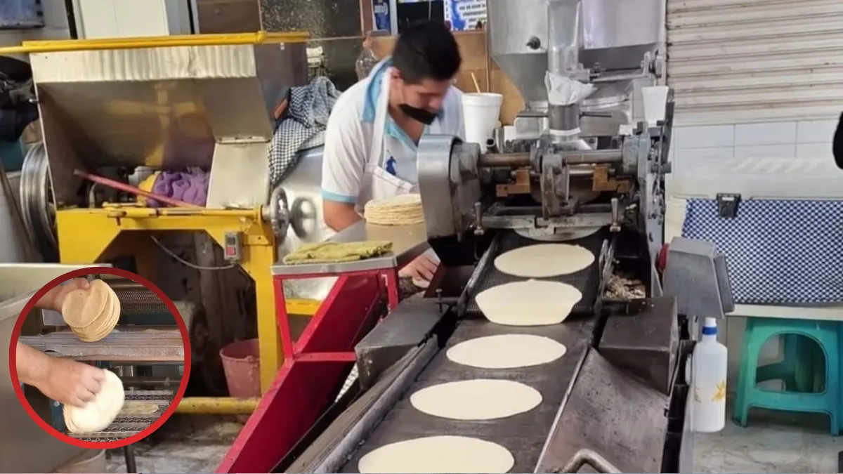 Consejo avanza con trabajos para estabilizar el precio de la tortilla en Edomex