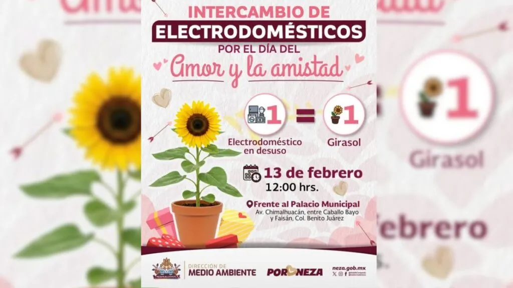 Neza te cambia tu electrodoméstico por un girasol