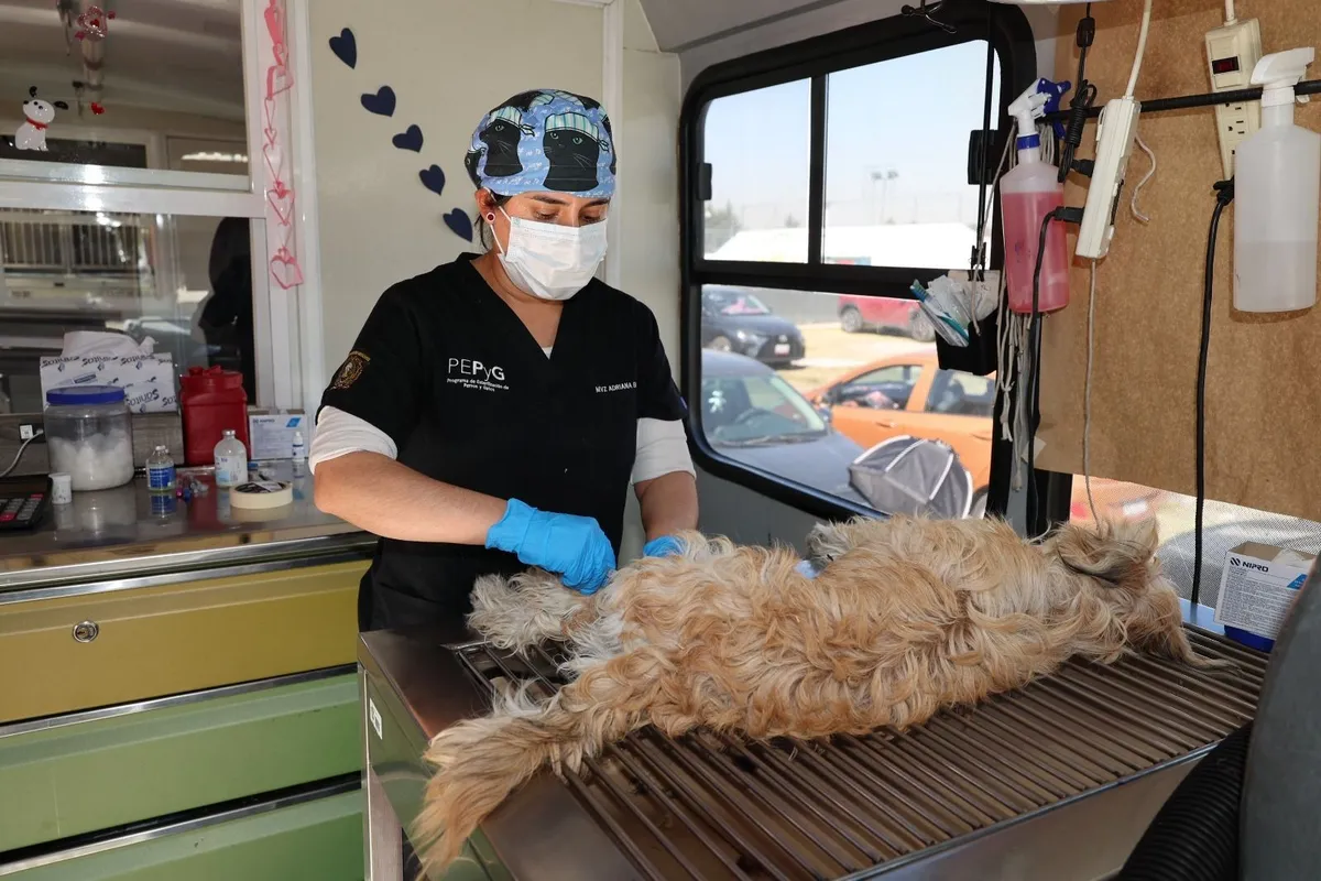 Este procedimiento reduce la población en situación de calle, disminuye riesgos sanitarios y previene conflictos comunitarios asociados al abandono.