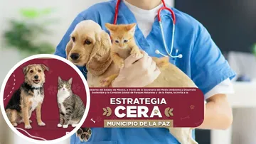 Campaña de esterilización en La Paz por estrategia CERA