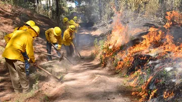 Investigadores pronostican cifras similares a 2024 en incendios forestales