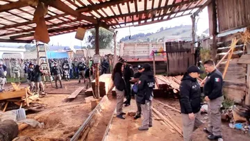 Edomex: Instruye Delfina Gómez operativo contra la tala clandestina