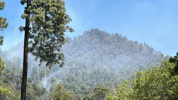 Donato Guerra: Logran controlar incendio forestal en San Lucas Texcaltitlán