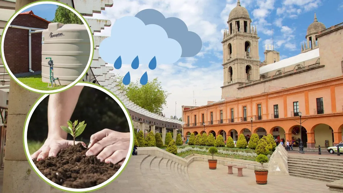 Toluca arborizará zona urbana para disminuir altas temperaturas