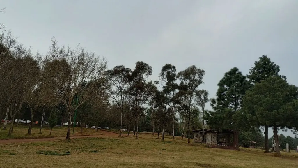 Edomex: Reutilizarán agua de lluvia en Alameda 2000