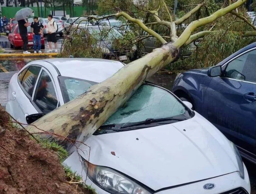 Aumentan reclamos de seguros de auto por fenómenos meteorológicos