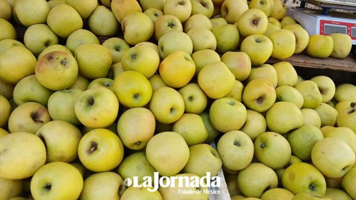 [Recorrido semanal]: Aumento en precios de frutas y verduras en Toluca