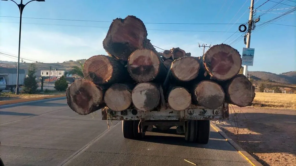 Edomex: Dos detenidos por transportar rollos de madera