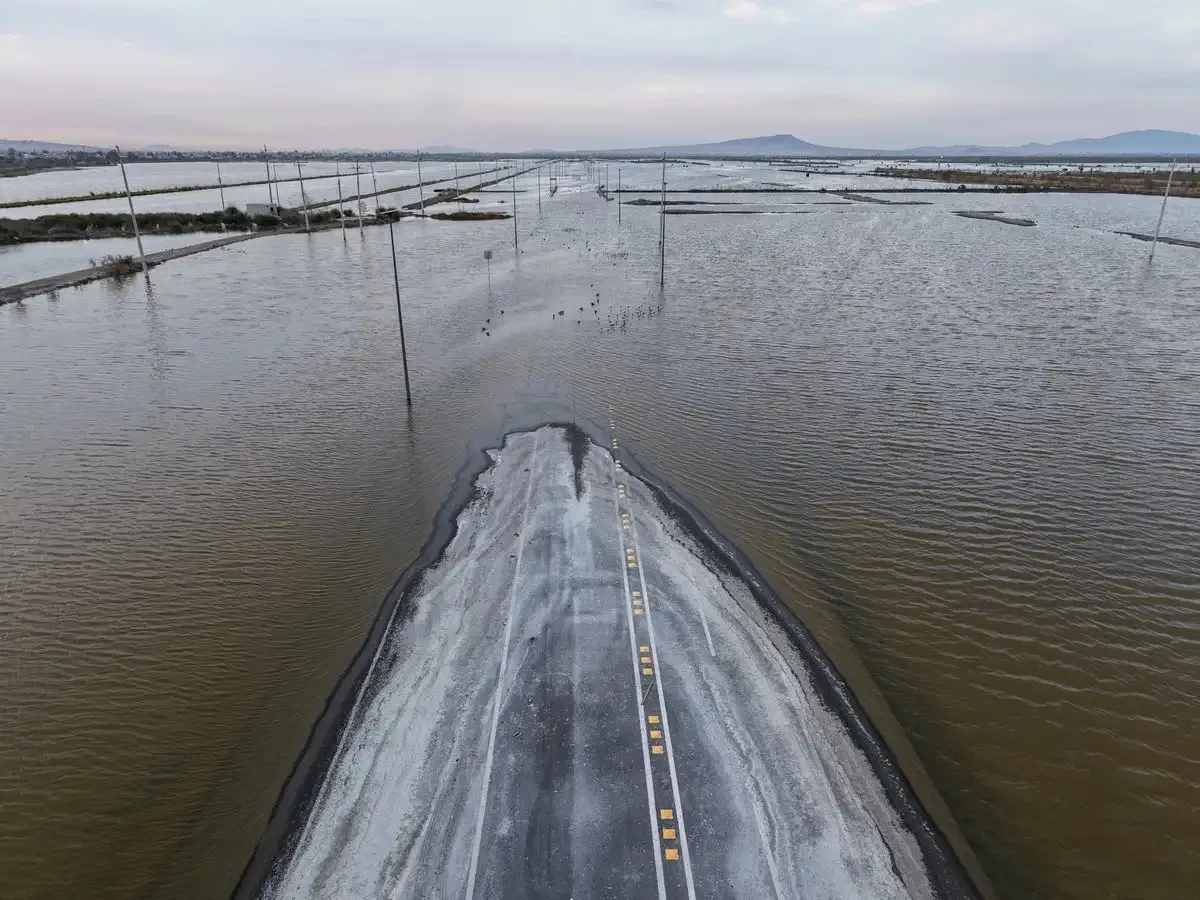 Lago de Texcoco se recupera