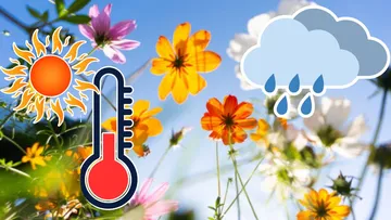 Primavera 2026 tendrá días lluviosos y altas temperaturas, asegura geólogo de la UAEMéx