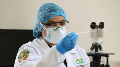 Los paquetes estarán disponibles durante todo el mes de marzo y contarán con costos accesibles.