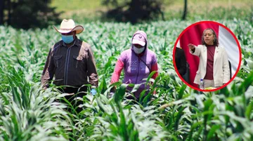 Entrega Edomex 29 mil apoyos al sector campo en un año