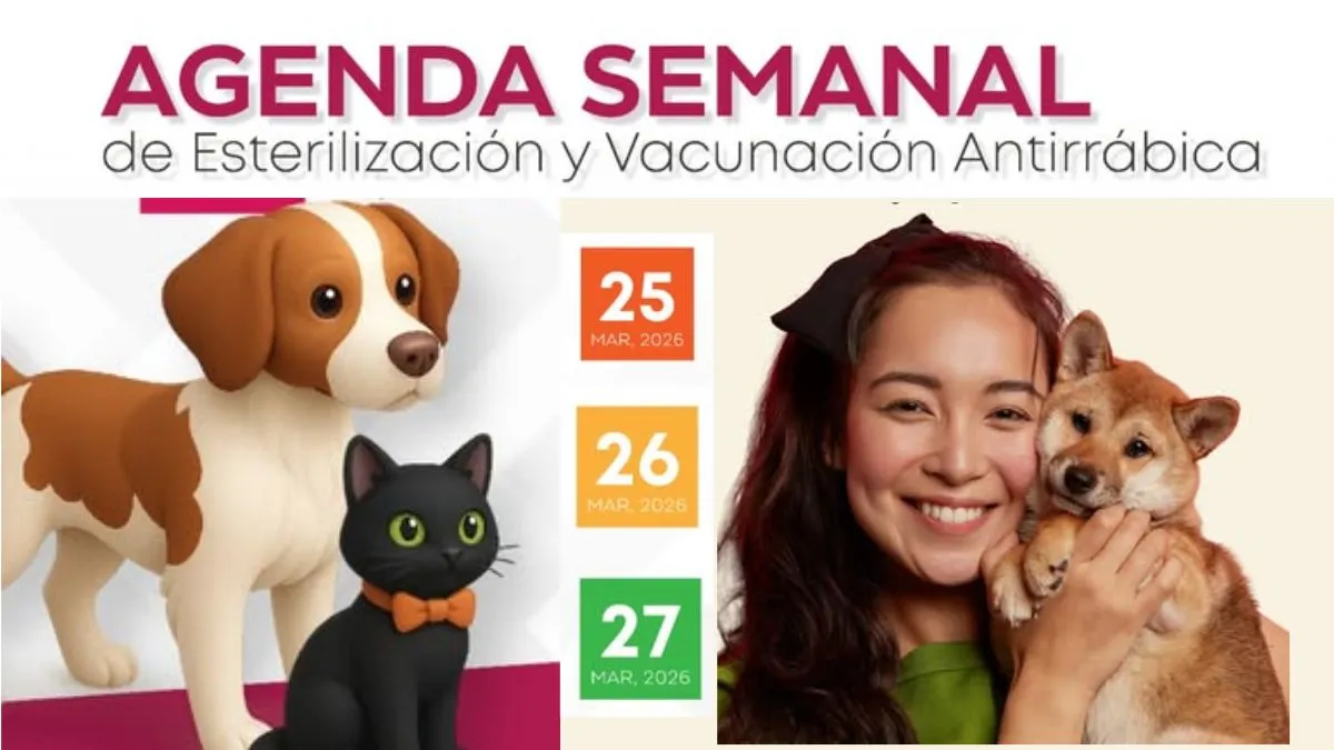 Jornada de esterilización y vacunación en Toluca del 25 al 27 de marzo. Aquí los detalles