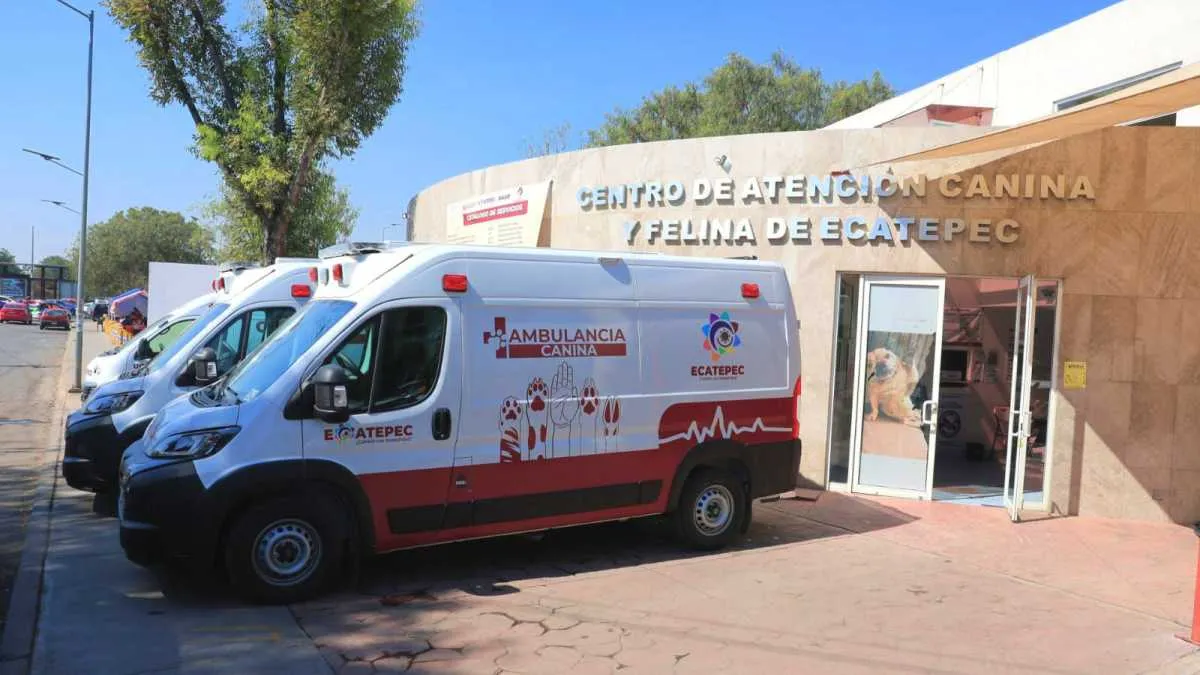 Ecatepec pone en marcha ambulancias para rescate y atención de mascotas