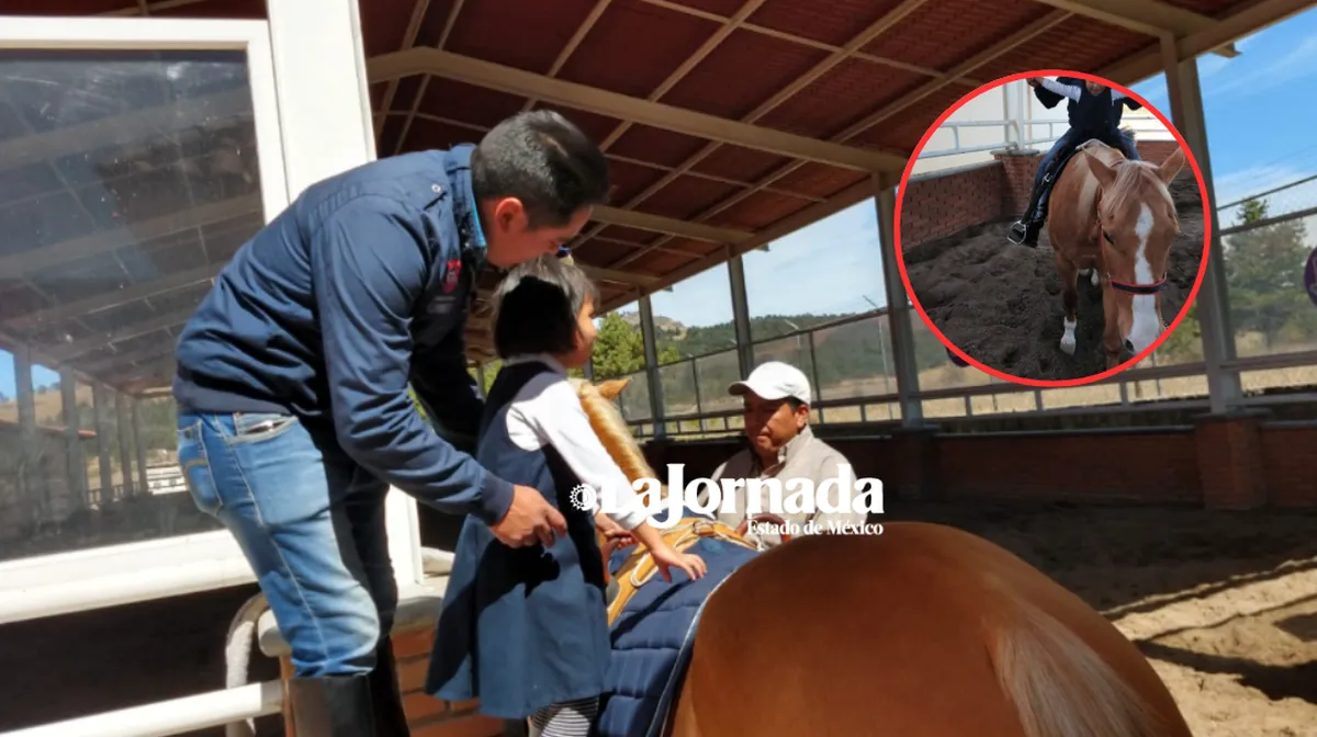 Equinoterapia en Toluca: El poder del caballo para sanar mente y cuerpo