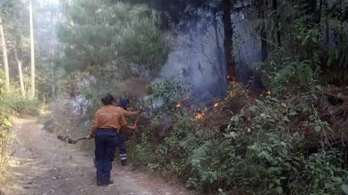 Amecameca: se reportan hasta cinco incendios de pastizales al día