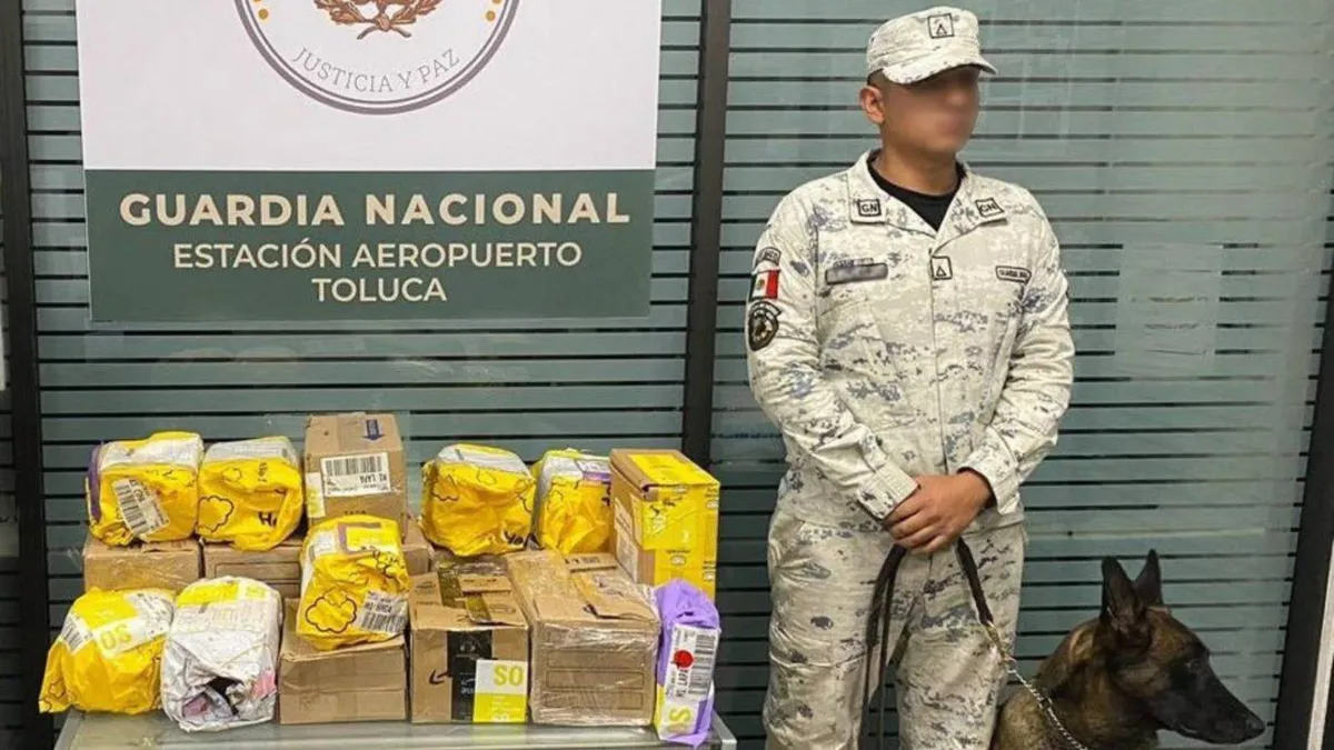 Guardia Nacional decomisa 18 paquetes de marihuana en Aeropuerto de Toluca