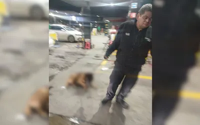 Trabajador de gasolinera arrastra a perro en Ecatepec, lo reportan por maltrato