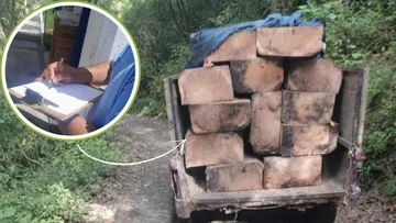 Vecinos de Atlautla juntan firmas para exigir alto a tala ilegal