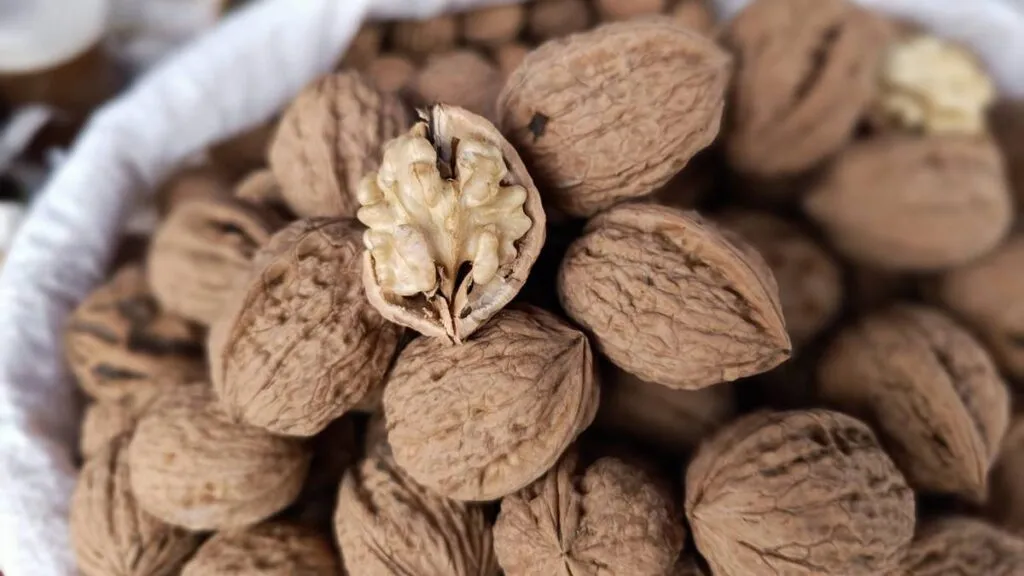 Productores instalan tianguis de nuez de castilla en Atlautla