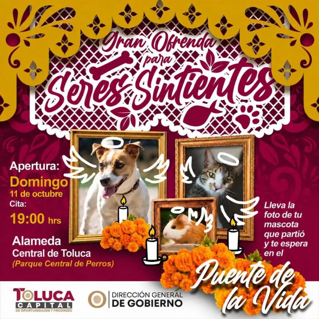 Toluca instala Gran Ofrenda para recordar a mascotas fallecidas