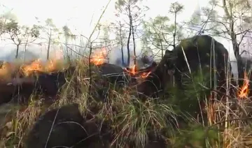 Ixtapaluca pierde 400 hectáreas de bosque en un año