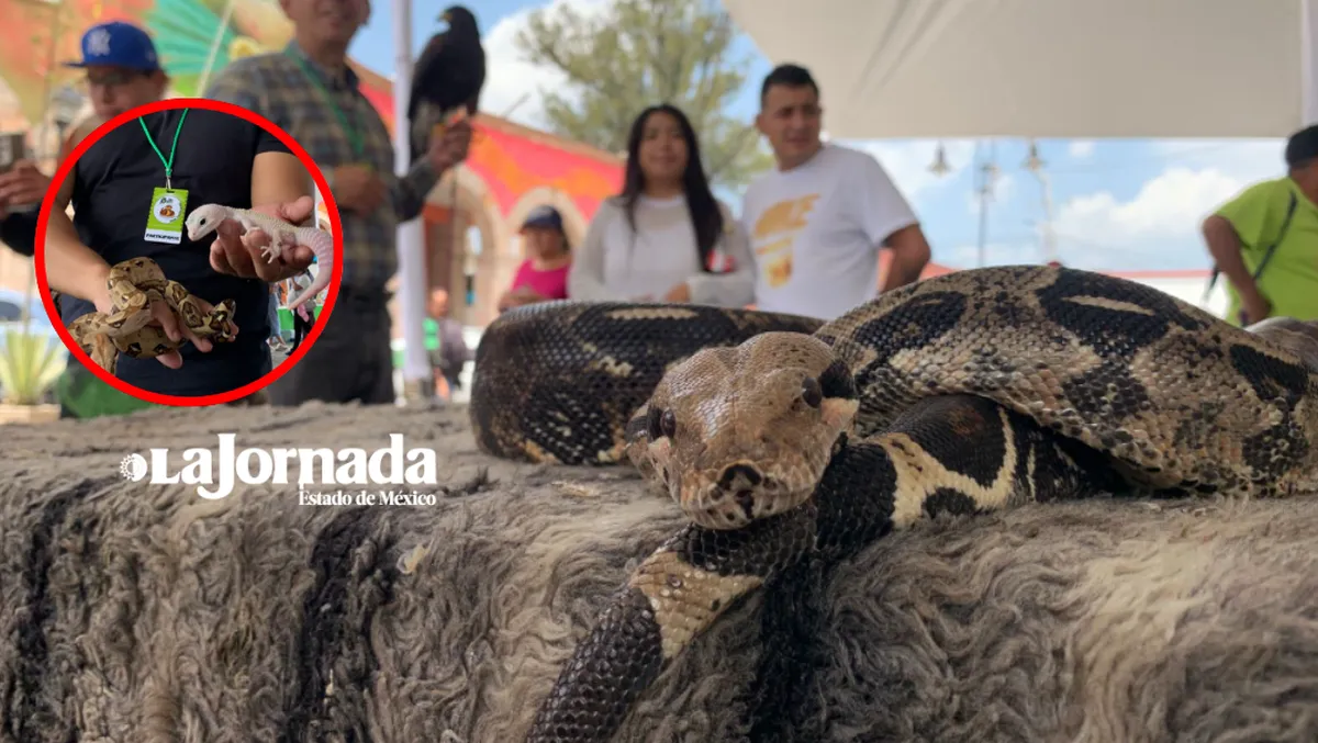 Festival en Teotihuacán busca resignificar el miedo a las serpientes