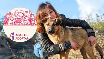 Perros del Refugio Franciscano podrán ser adoptados: Así puedes iniciar el proceso