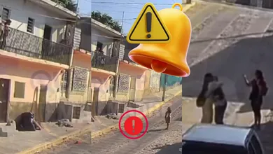 Video muestra cómo una mujer arroja a perrito desde balcón en Tuxtla; Rambo sobrevivió y autoridades ya investigan por maltrato animal.