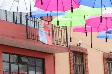 Metepec retira 50 toneladas de propaganda electoral y busca su reciclaje