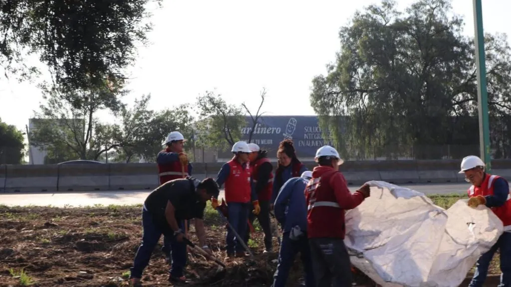 Mega Jornada de Limpieza en el Periférico Norte arranca desde Izcalli