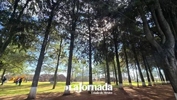 Entra en vigor actualización del decreto de áreas naturales protegidas