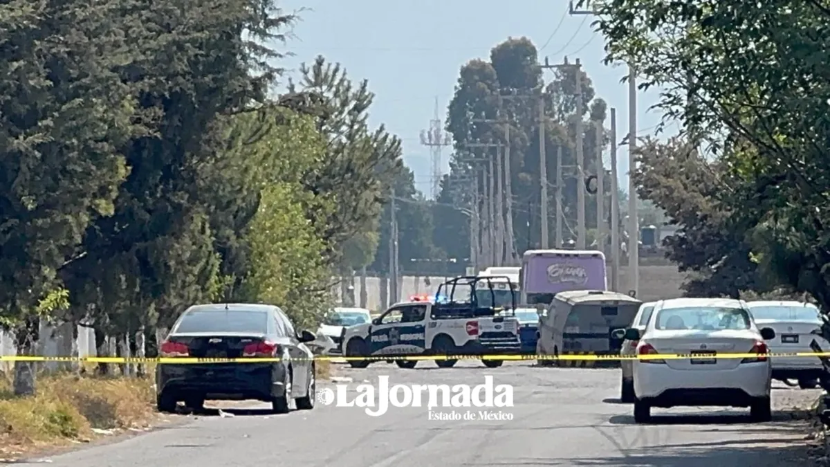 El sitio se mantiene acordonado por varias cuadras y policías municipales impiden el paso a vehículos, también llegaron paramédicos y personal de Profepa para el control de los animales.