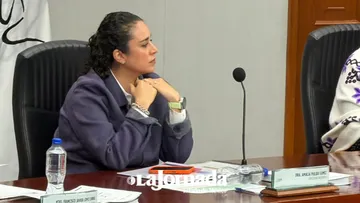 IEEM espera si INE requerirá ayuda para verificación de candidaturas para evitar filtración de la delincuencia