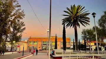 Se enferman 66 árboles del parque de La Soledad en Tecámac