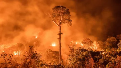 piden-a-la-poblacion-prevenir-incendios-forestales