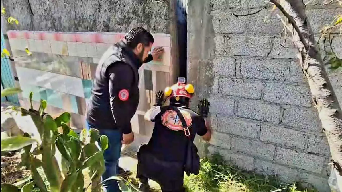 Perrita sobrevive tras quedar atrapada cuatro días entre dos bardas en Ecatepec