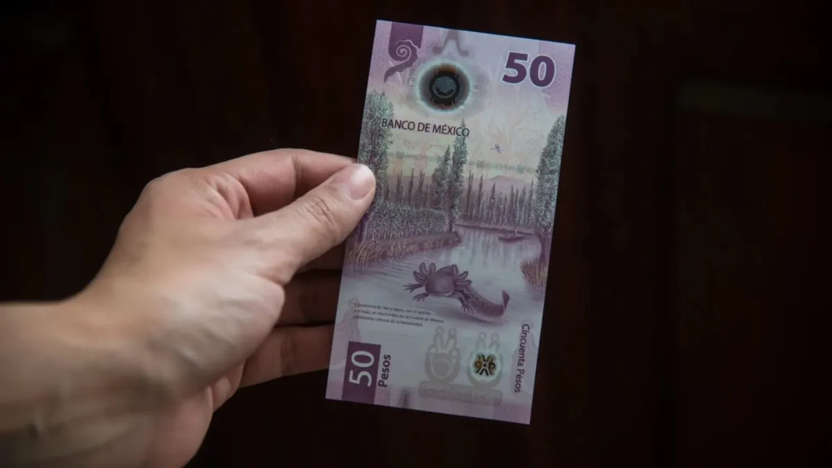 El billete del ajolotito sigue causando furor: millones lo guardan, coleccionan y hasta lo venden