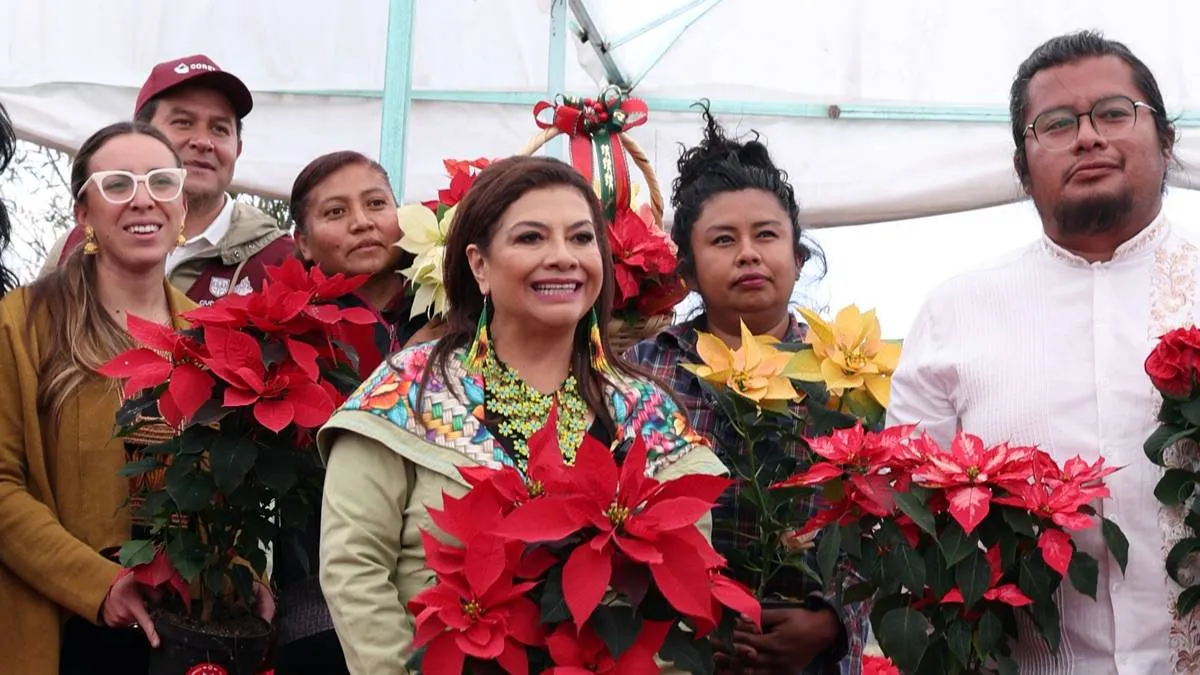A la venta más de un millón 800 mil flores de nochebuena en CDMX