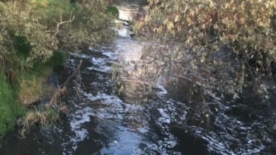 Auto cae en Río Lerma