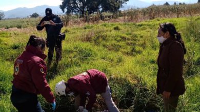 Rodrigó asesinó a su novia por un desacuerdo