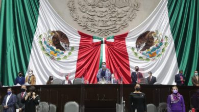 Diputados federales