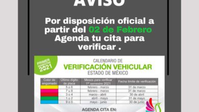 Verificación vehicular