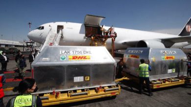 Hoy llegó el séptimo embarque de vacunas contra Covid-19 de la farmacéutica Pfizer a la Terminal 1 del Aeropuerto Internacional de la Ciudad de México. Foto Cristina Rodríguez