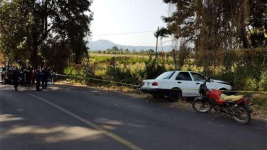 Fueron atropellados por un auto